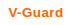 V-Guard